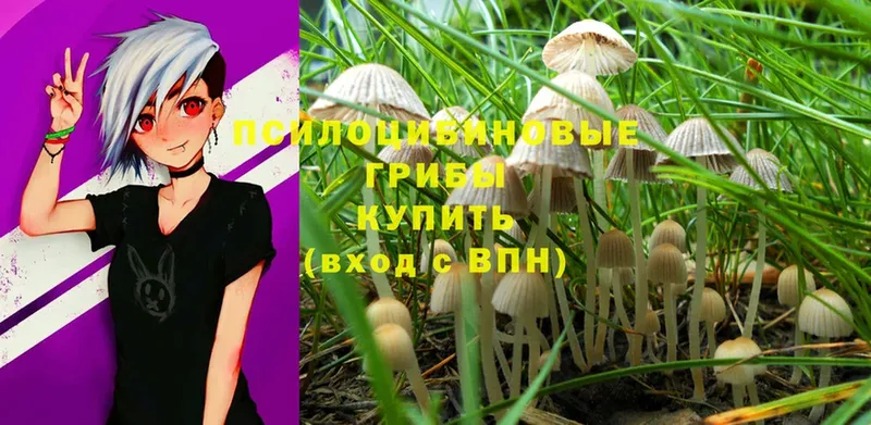 Галлюциногенные грибы Magic Shrooms  Кашира 